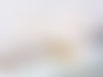 The New York Times feature about Peter Callahan: Scrambling for a New Site