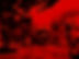 10580929_809301269114057_2066159286613667309_o_edited.jpg