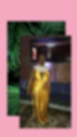 Copy of Copy of havana days(3).PNG