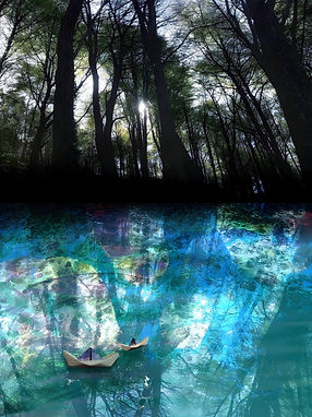 Bernie Rutte above below 4 .jpg