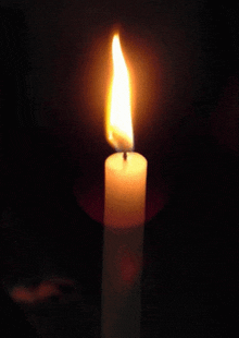 in-remembrance-3-condolences-3.gif