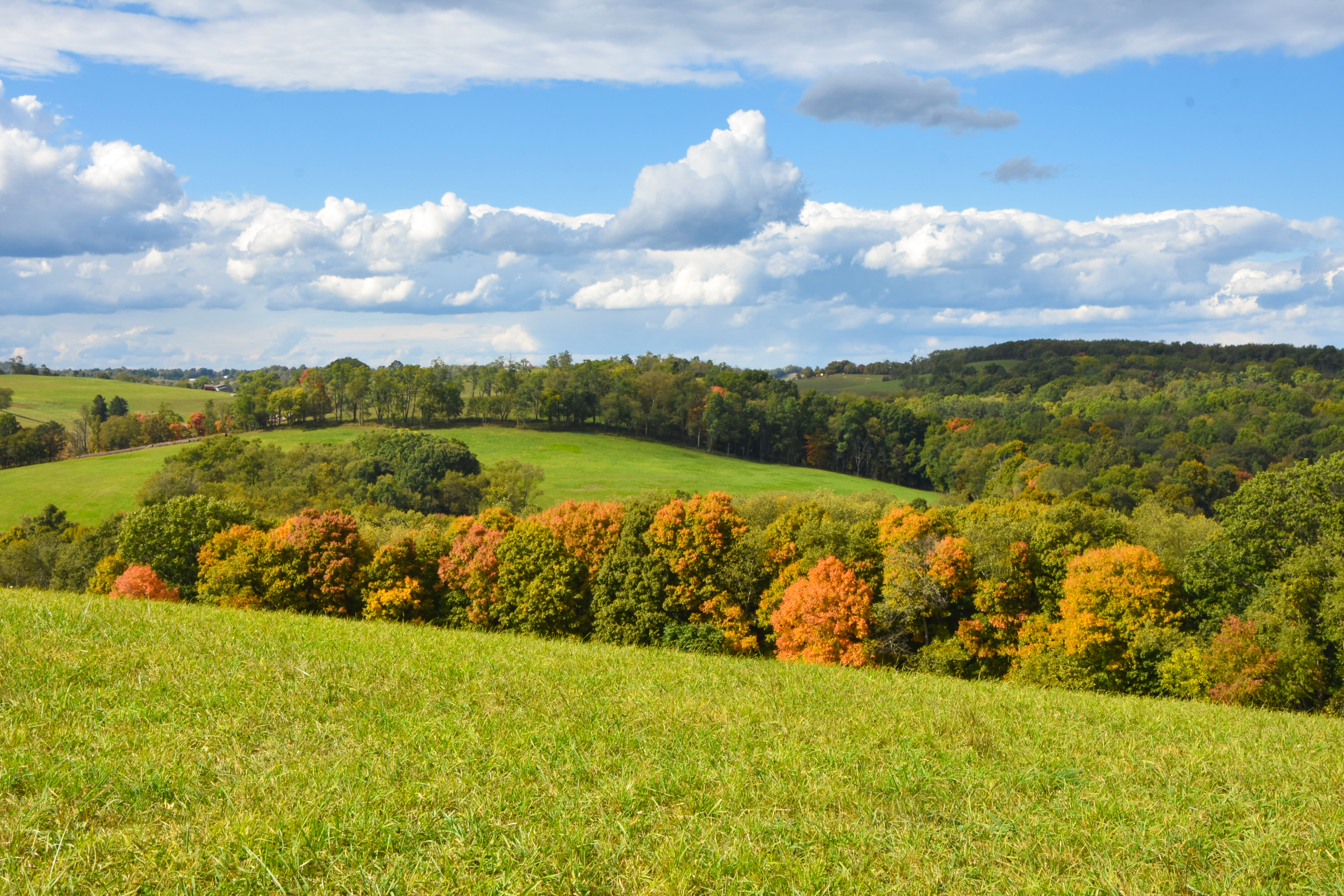 Jefferson Township Hills by Margaret Strain.jpg
