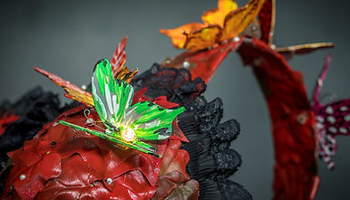 photos Dents 093.jpg