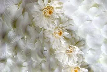 F R 016 © G Piel.jpg