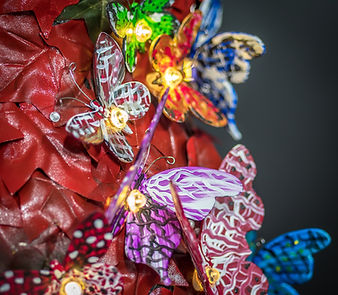 photos Dents 090.jpg