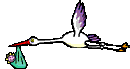 Stork.gif