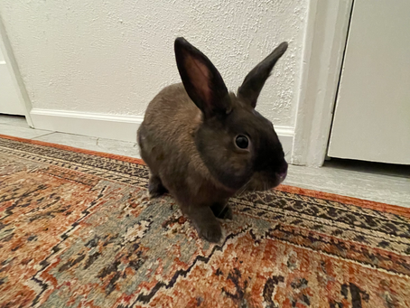 Walter