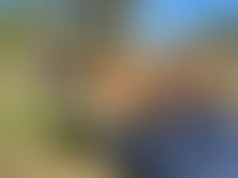 Unlock Your Child's Passion for Animals at Our Veterinary Camp