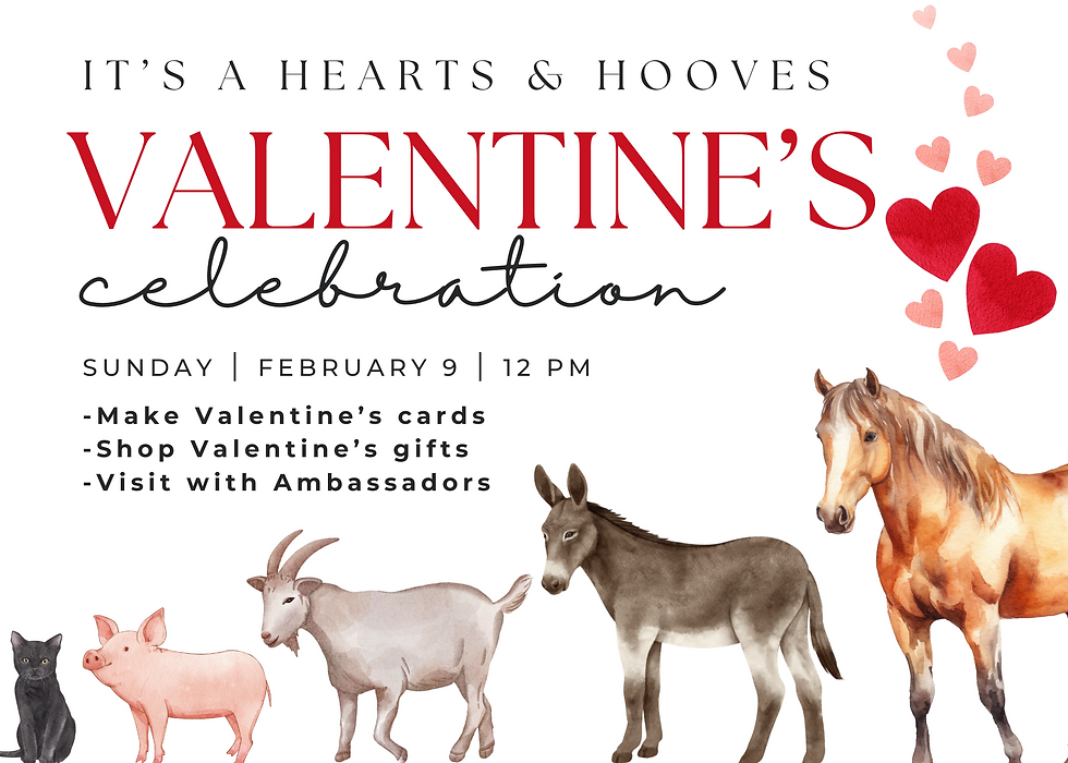 Valentine's Celebration