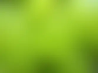 The Grapeing