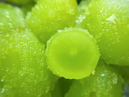 The Grapeing