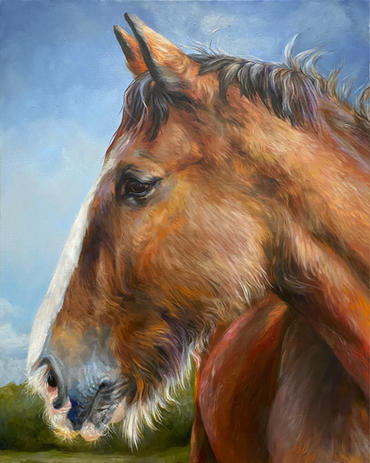 Coffren_Allyson_HorsePortrait02.jpeg