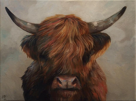 highland bull in front of a multi-gray toned background.
