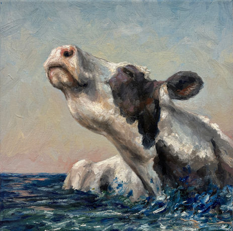 black and white cow in rough water raising head toward sky