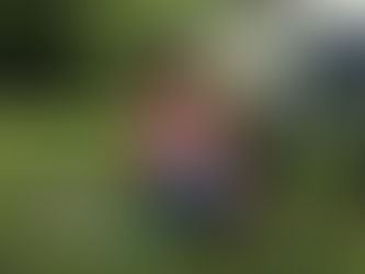 Play and Learn @ Learning Cafe July 1 and 15 1-3p