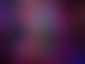 Family Fun Night at the Zoo 