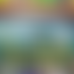 ☀️ Hành Trình Khám Phá Bắt Đầu: Đoàn "Trại Hè Singapore: Become Global Citizen" đã chính thức khởi hành! 🇸🇬✈️