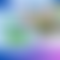 🌏 MỘT MÙA HÈ – NHIỀU QUỐC GIA VÀ HÀNH TRÌNH TRƯỞNG THÀNH ☀️