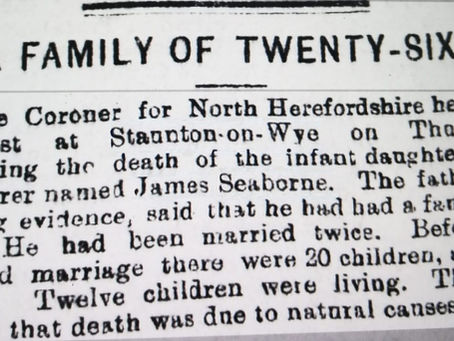 James Seaborne 1847-1912 - Father of 32 children