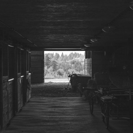 paardenstal, foltering