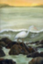 The Egret
