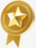 Gold Star.jpg
