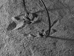 Topographie der Stille