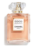 123-B Coco Mademoiselle Chanel.jpeg