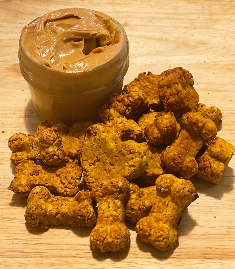 Peanut Butter Pumpkin Tedy Treats