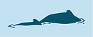 Brand Board Khmer Ocean Life (2).png