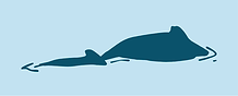 Brand Board Khmer Ocean Life (2).png