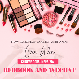 How European Cosmetics Brands Can Win Chinese Consumers via Redbook and WeChat