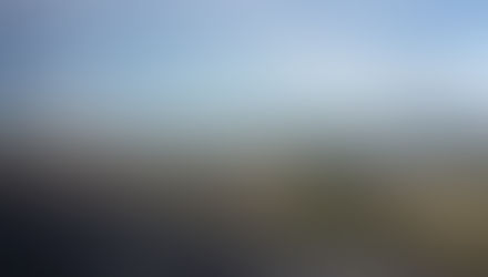 הציור השבועי ברכבת