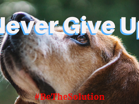Give up… or don’t