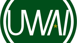 こんにちはウワイです。