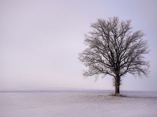 挪亞酒醉事件，為什麼咒詛迦南？｜聚焦聖經
