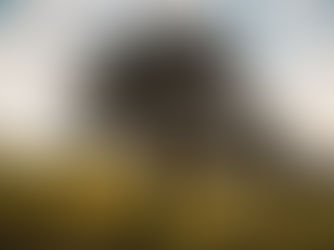 發旺在神的殿中｜4/15禱告會