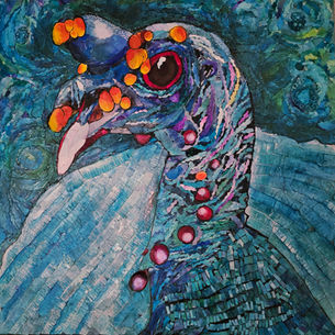 Ever Seen an Ocellated Turkey?