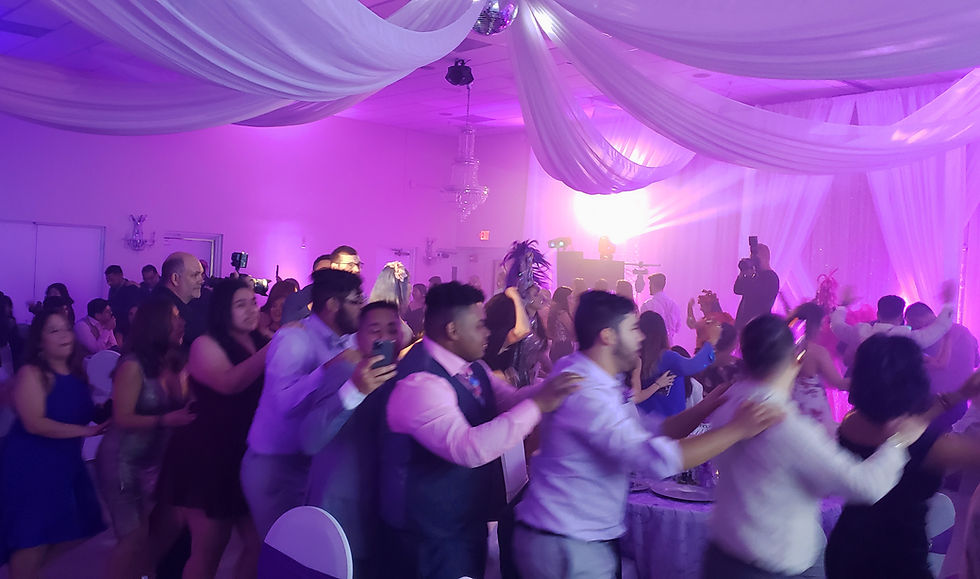Conga Line at wedding