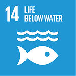 E_SDG_Icons-14.jpg