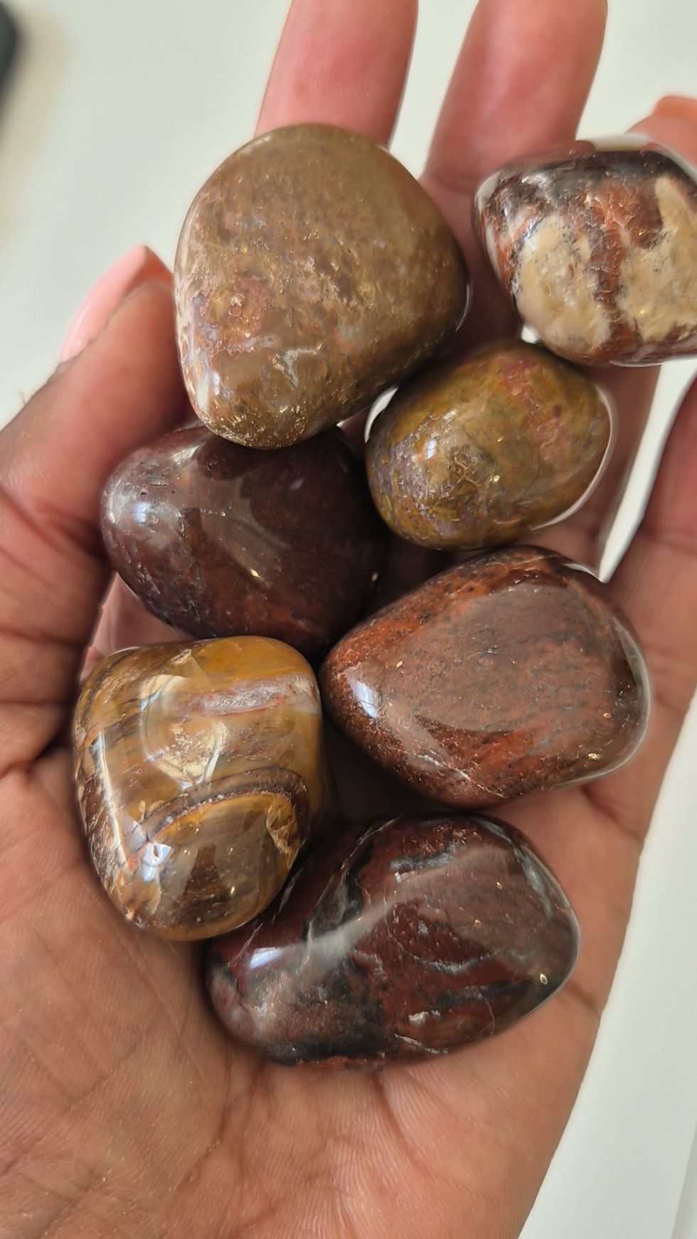 Miniature : PIERRES ROULEES BOIS FOSSILISE