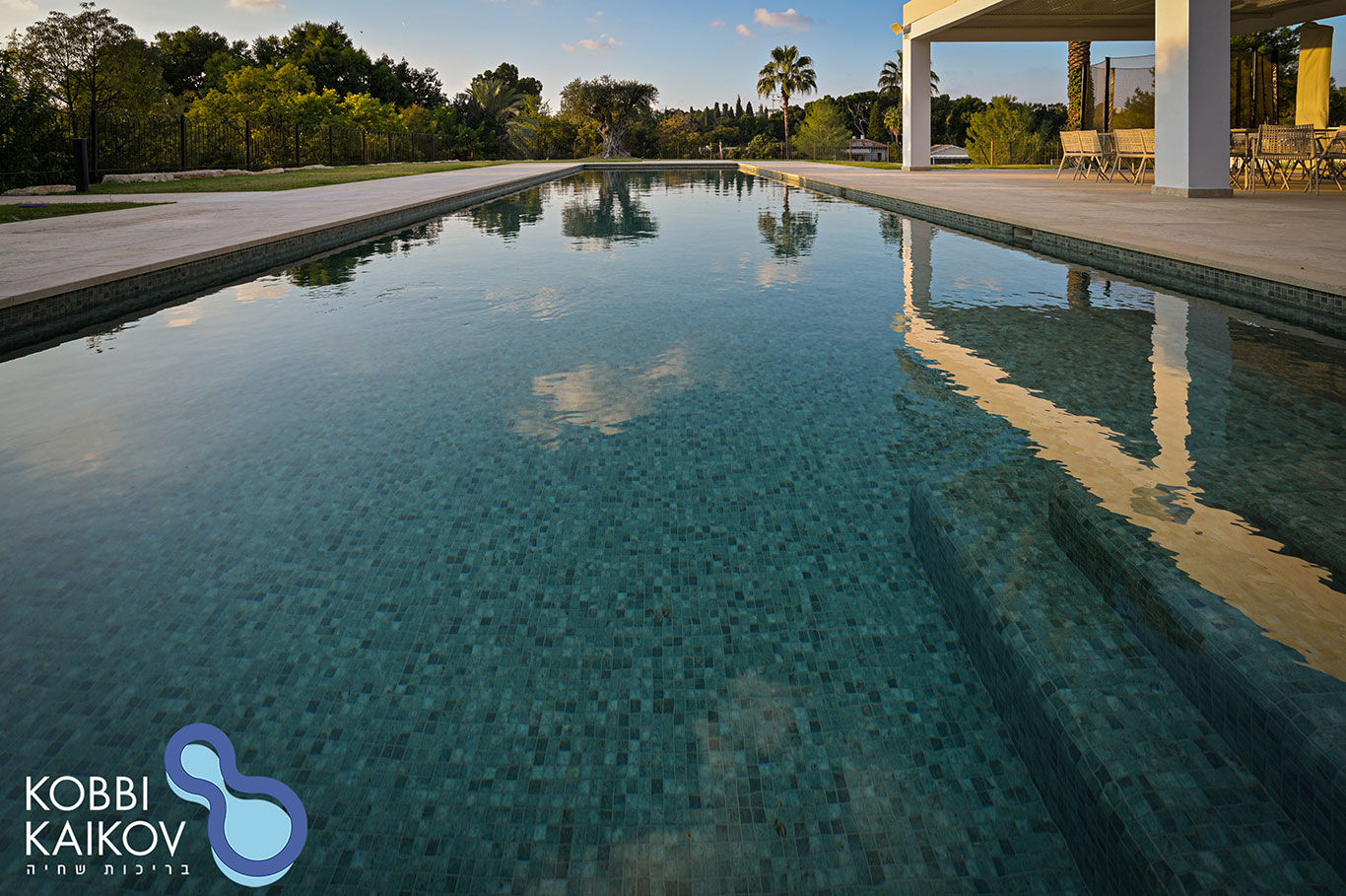 בריכה בסביון