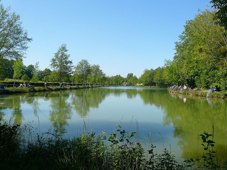 P1050195 (2)couv.jpg