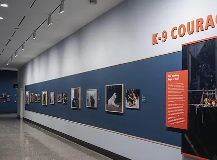 JL_K9EXH0131_18.jpg.webp