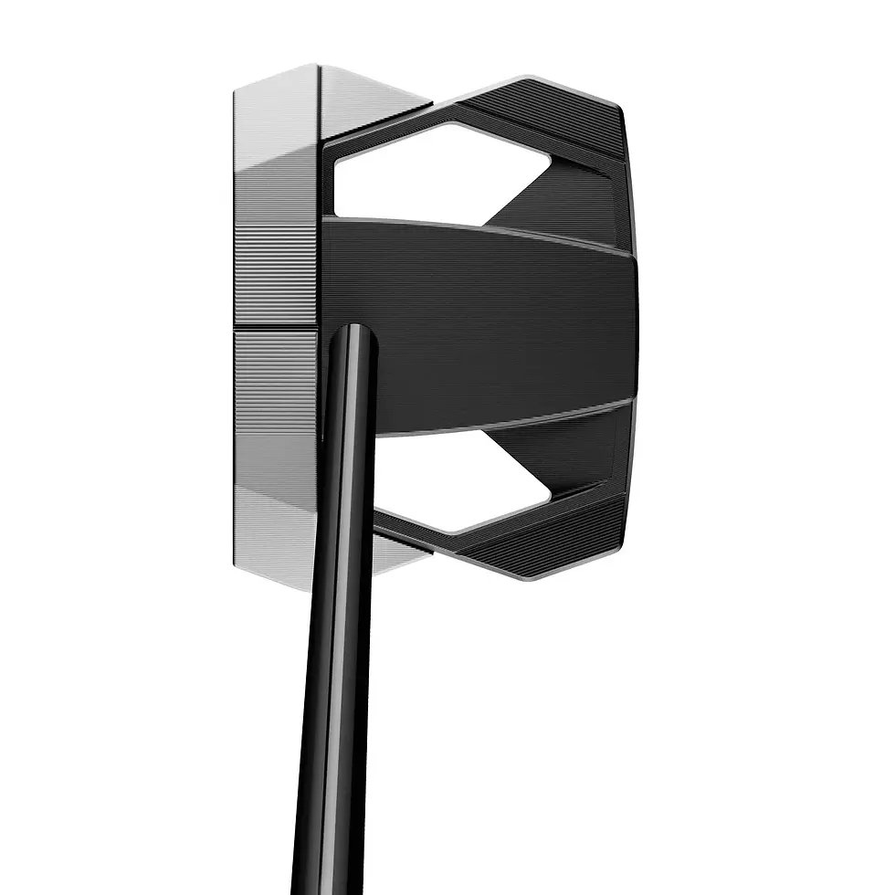 Miniatyrbilde: TaylorMade Spider ZT CB - Black