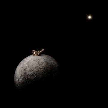 Butterfly sits o a iron ball.