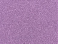 Bishop Violet