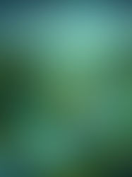 Araç Takip Sistemiyle Yakıt Tasarrufu Nasıl Sağlanır?