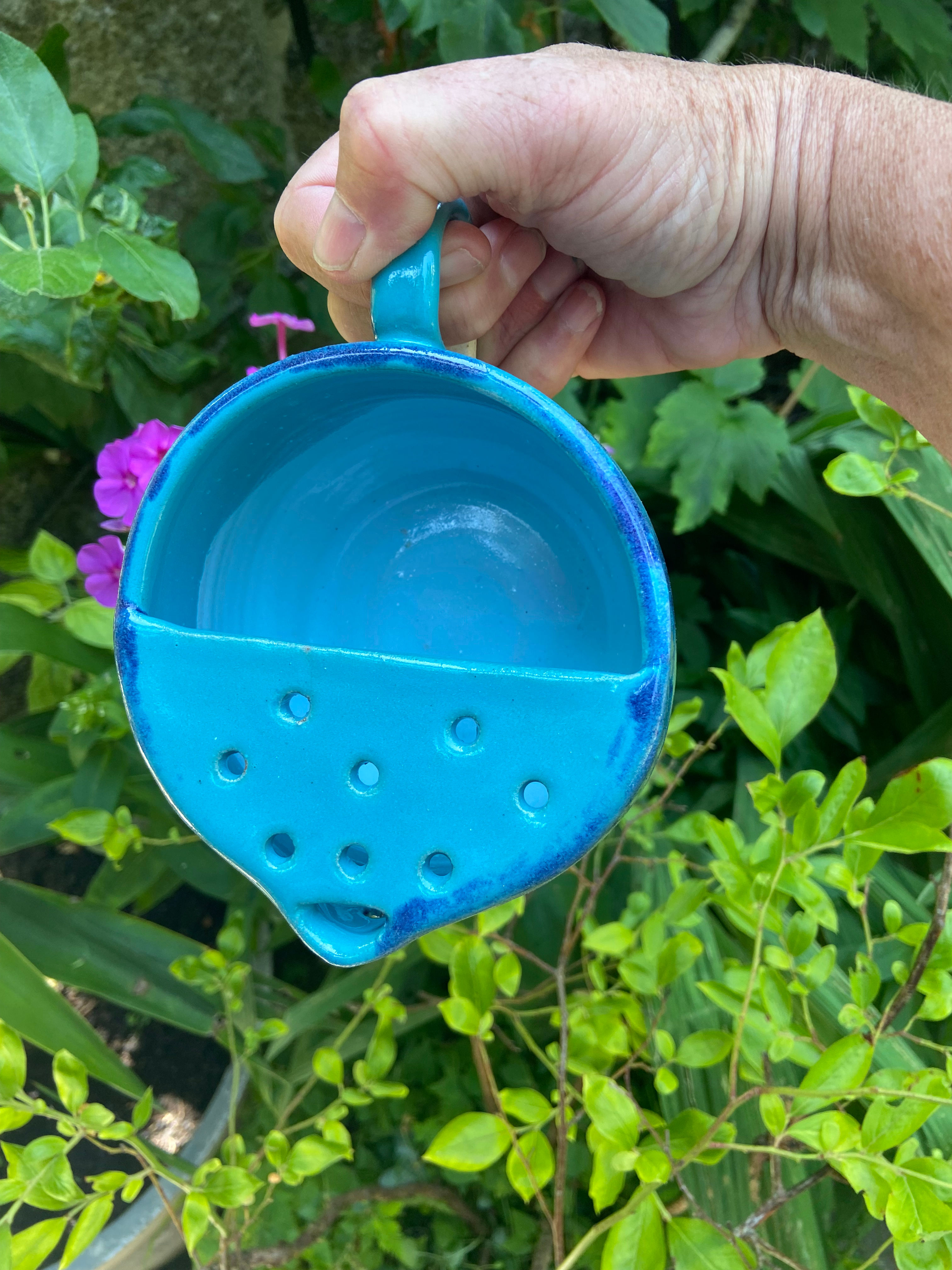 Berry bowl