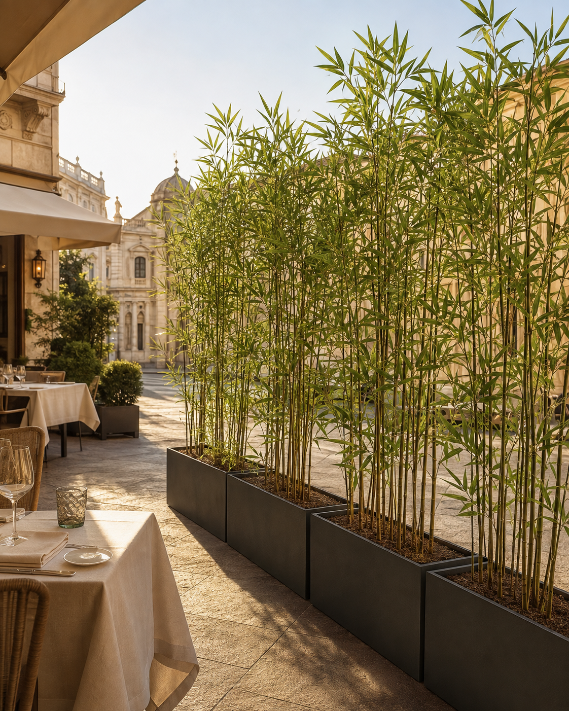 Fioriere nere con alte piante di bambù utilizzate come divisorio verde nella terrazza esterna di un elegante ristorante.